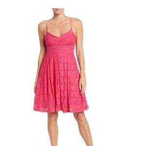 NSR Provance Stretch Lace Mini